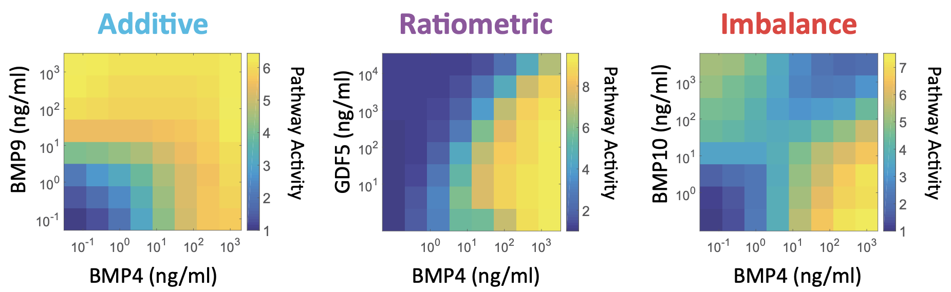 3_BMP_ligand_pairs.png
