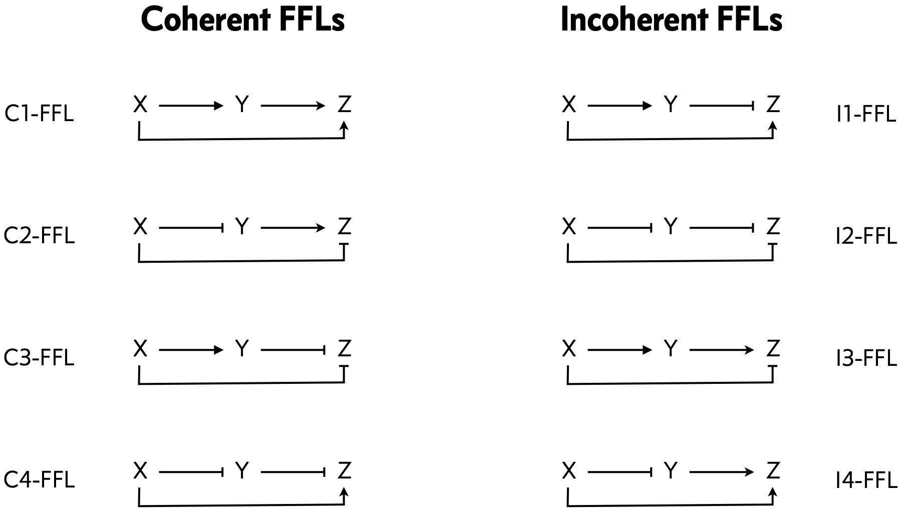 FFL classes