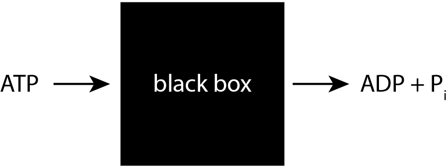 ATP black box