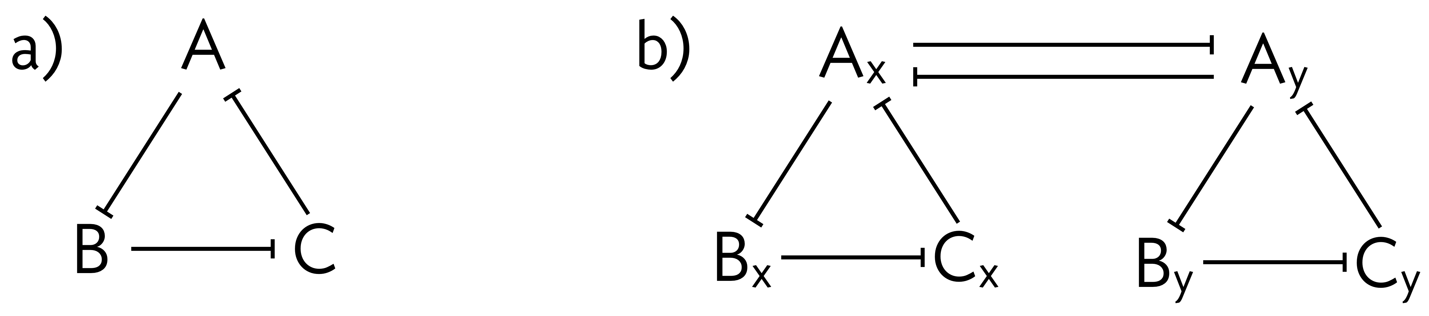 repressilator and coupled repressilator