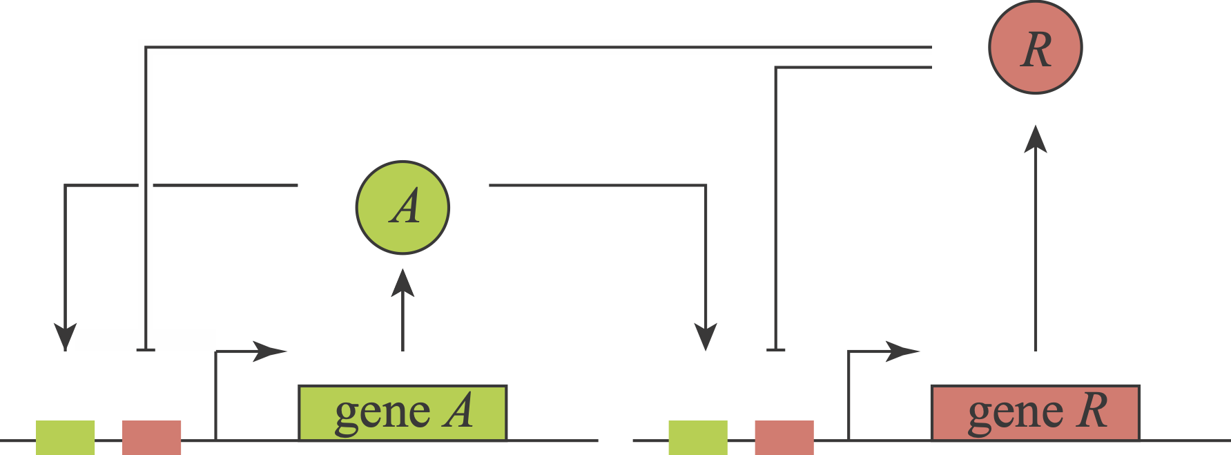 pos-neg oscillator