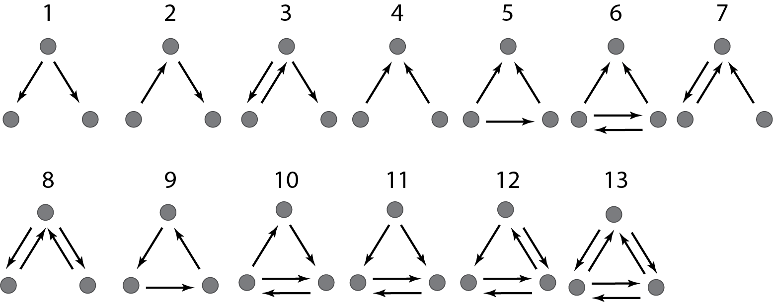 all three node motifs