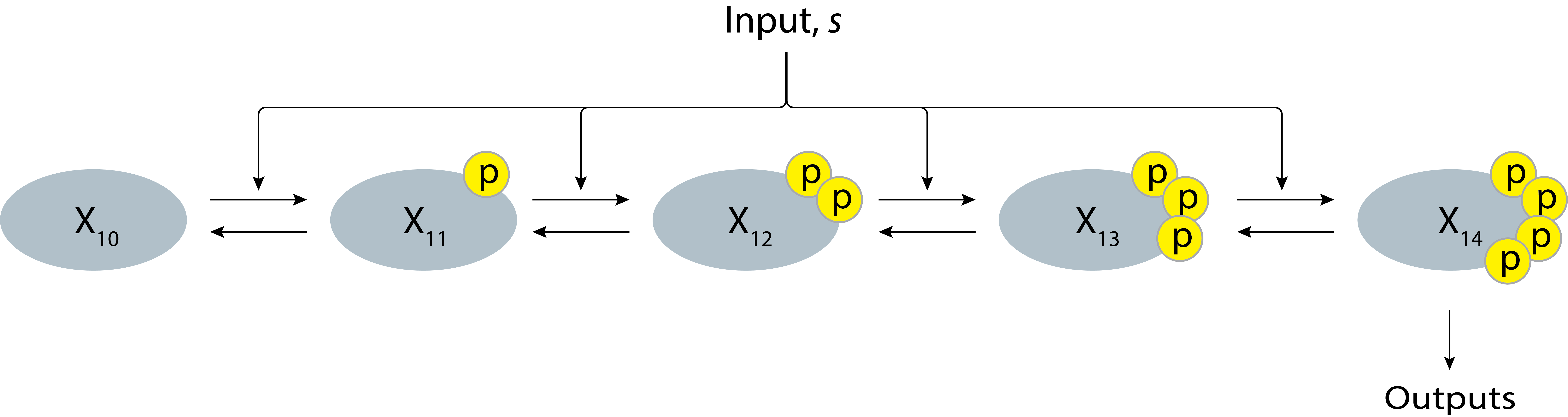 A schematic of a non-cascading MAPK signaling system with four phosphorylation sites