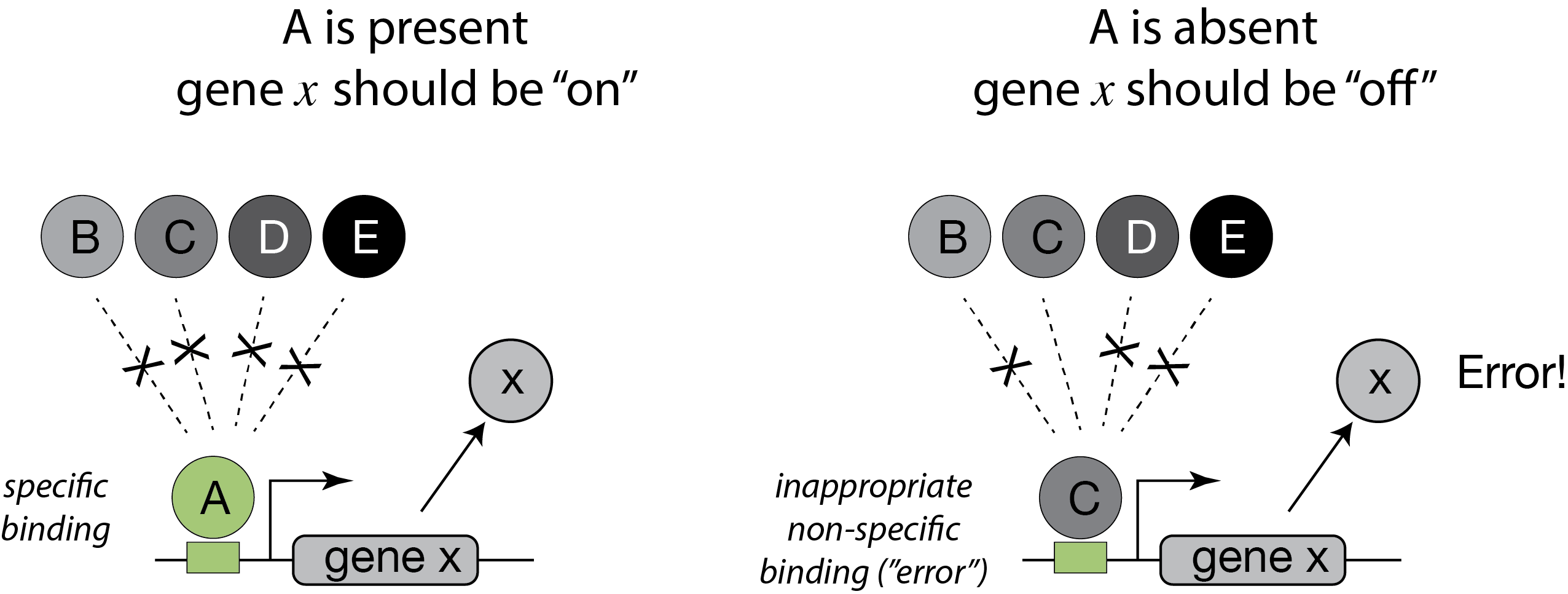 High and low demand schematic demonstrated error loads.