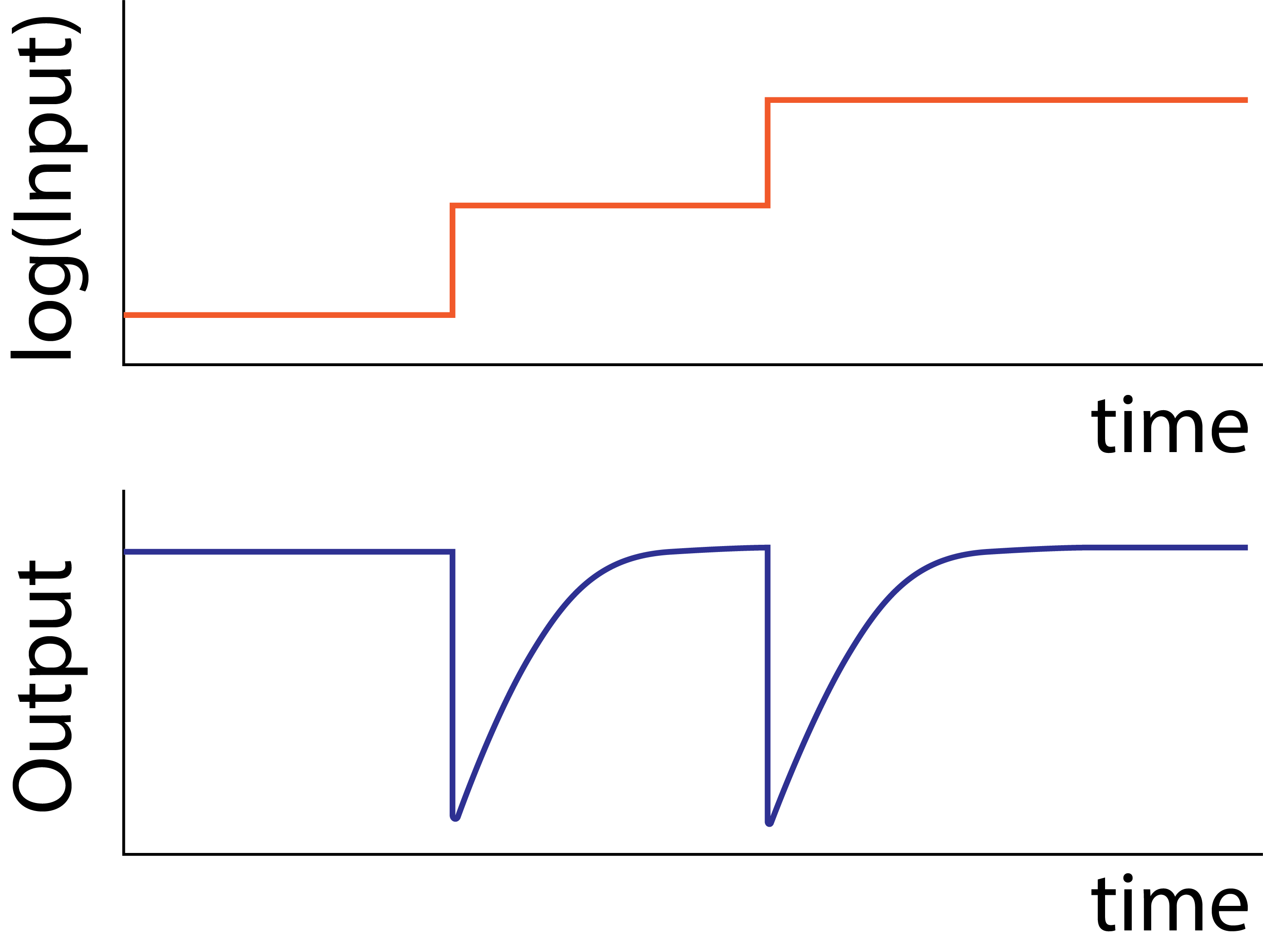 Schematic representation of exact adaptation.