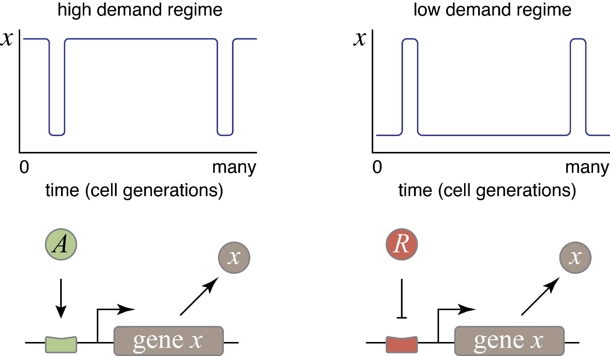 Low-demand and high-demand schematics.