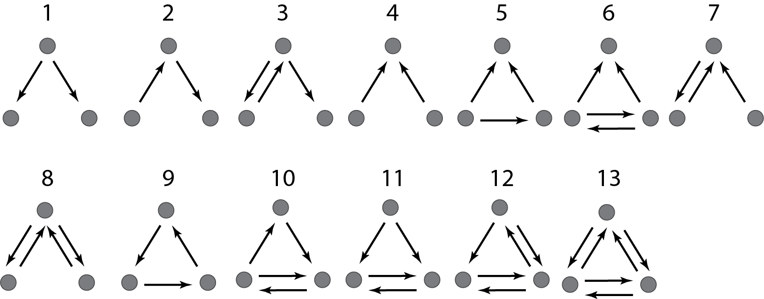 All three node motifs. Image adapted from (Milo et al. 2002).